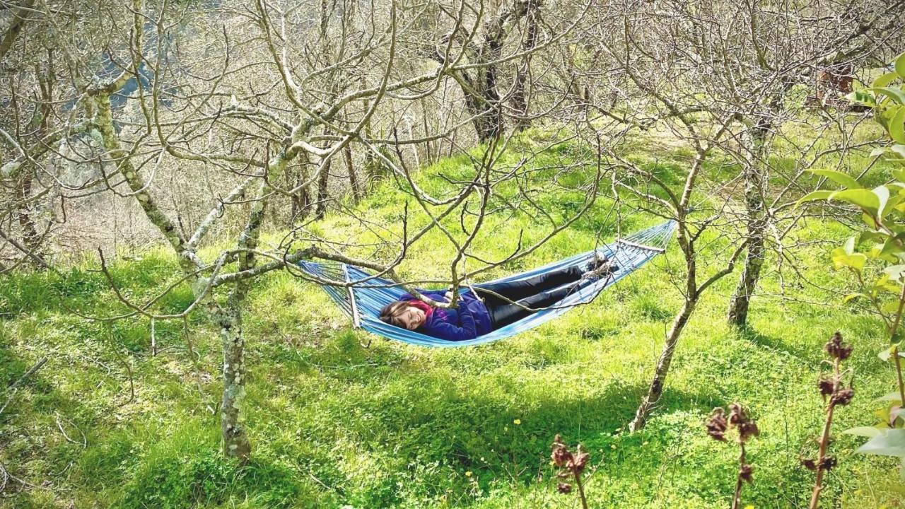 Bed and Breakfast Benvenuti Nel Sud Sessa Cilento Esterno foto