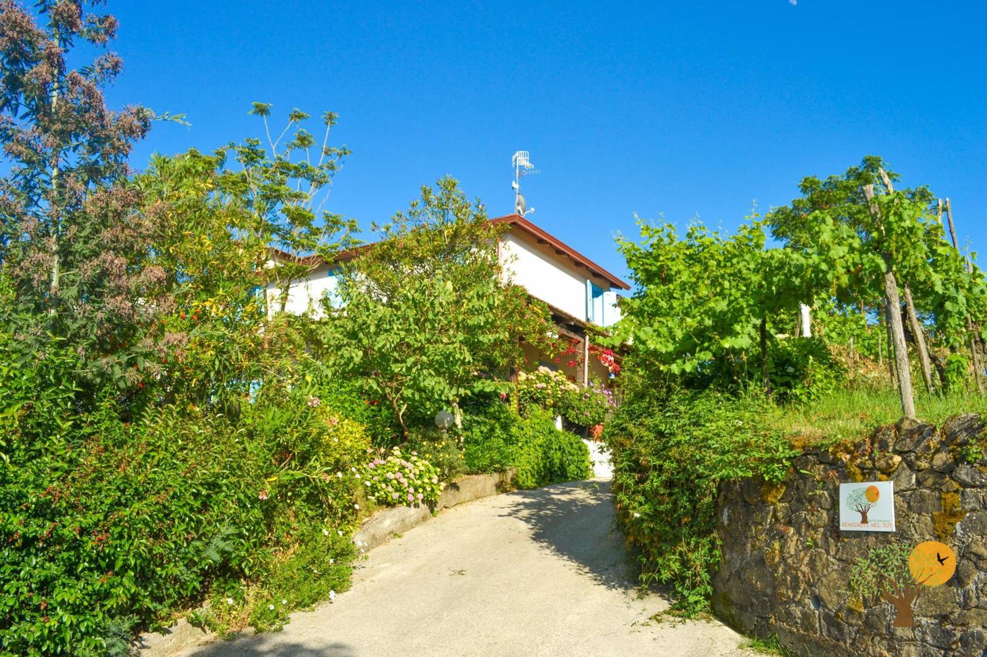 Bed and Breakfast Benvenuti Nel Sud Sessa Cilento Esterno foto