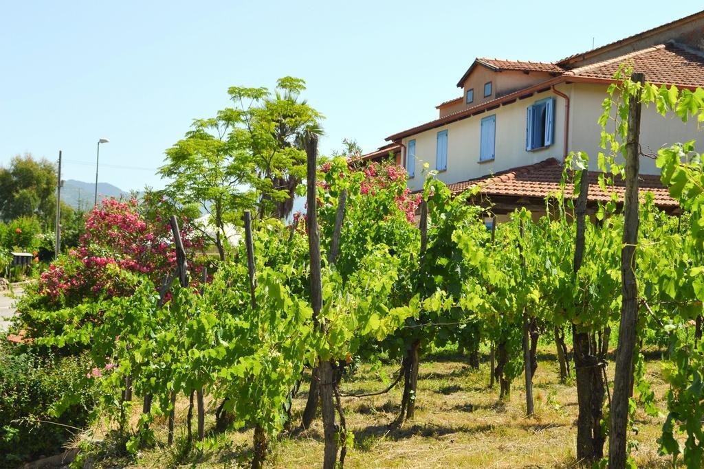 Bed and Breakfast Benvenuti Nel Sud Sessa Cilento Esterno foto
