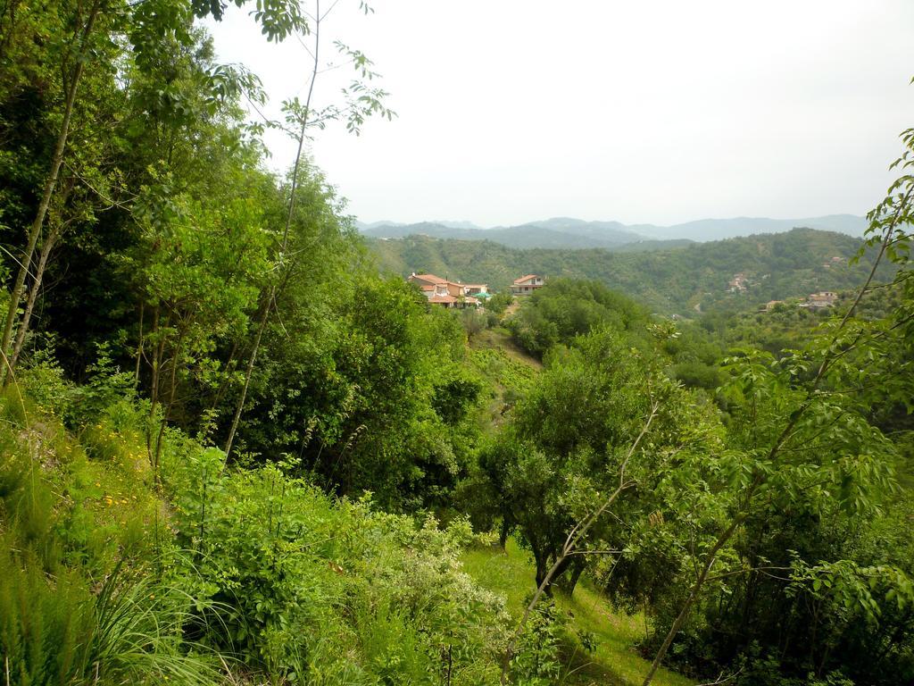 Bed and Breakfast Benvenuti Nel Sud Sessa Cilento Esterno foto