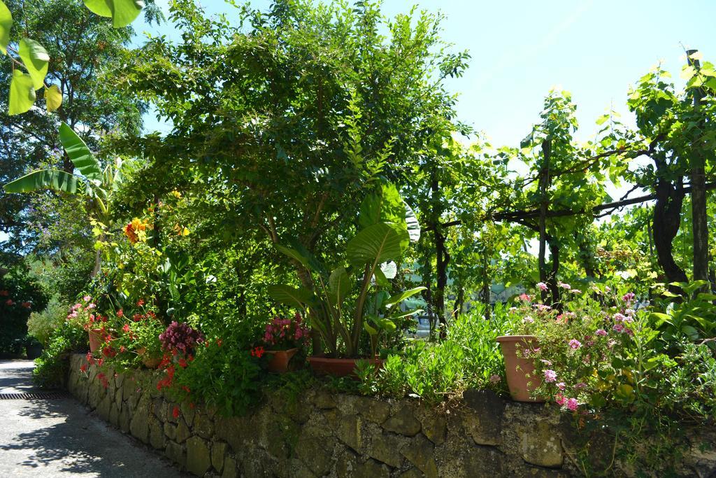 Bed and Breakfast Benvenuti Nel Sud Sessa Cilento Esterno foto