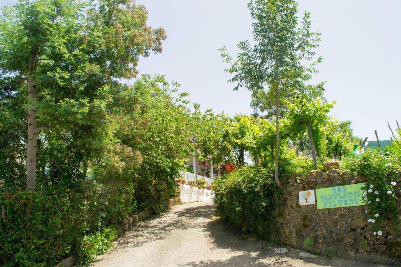 Bed and Breakfast Benvenuti Nel Sud Sessa Cilento Esterno foto
